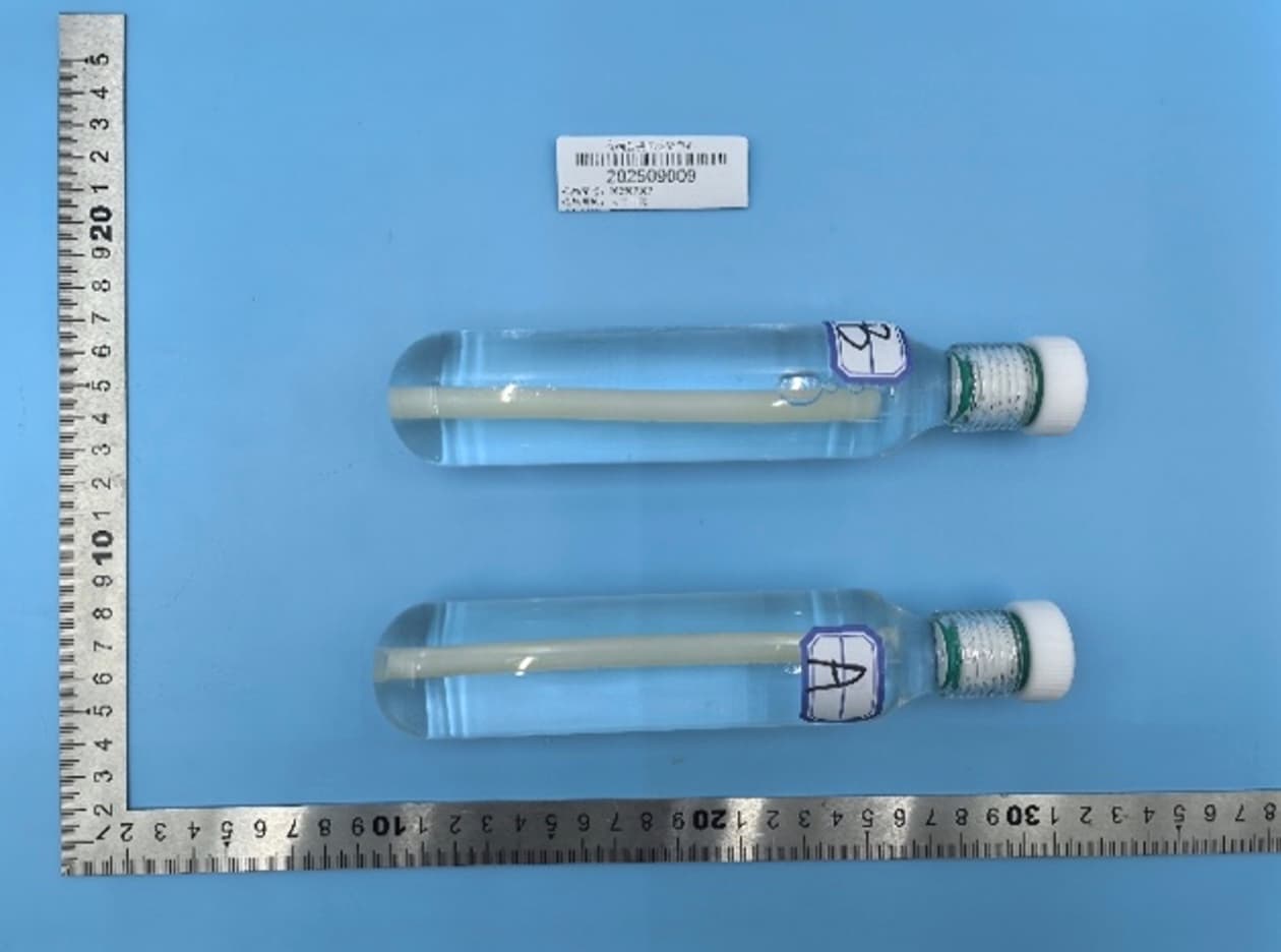 Tissue-engineered blood vessels in storage vials, shown with a ruler for scale
